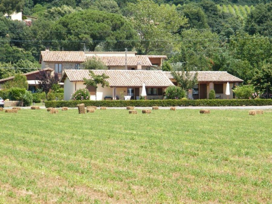 Agriturismo Casale Del Contadino Больсена Екстер'єр фото