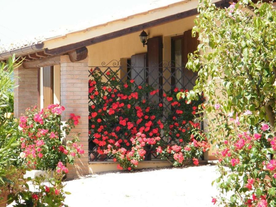 Agriturismo Casale Del Contadino Больсена Екстер'єр фото