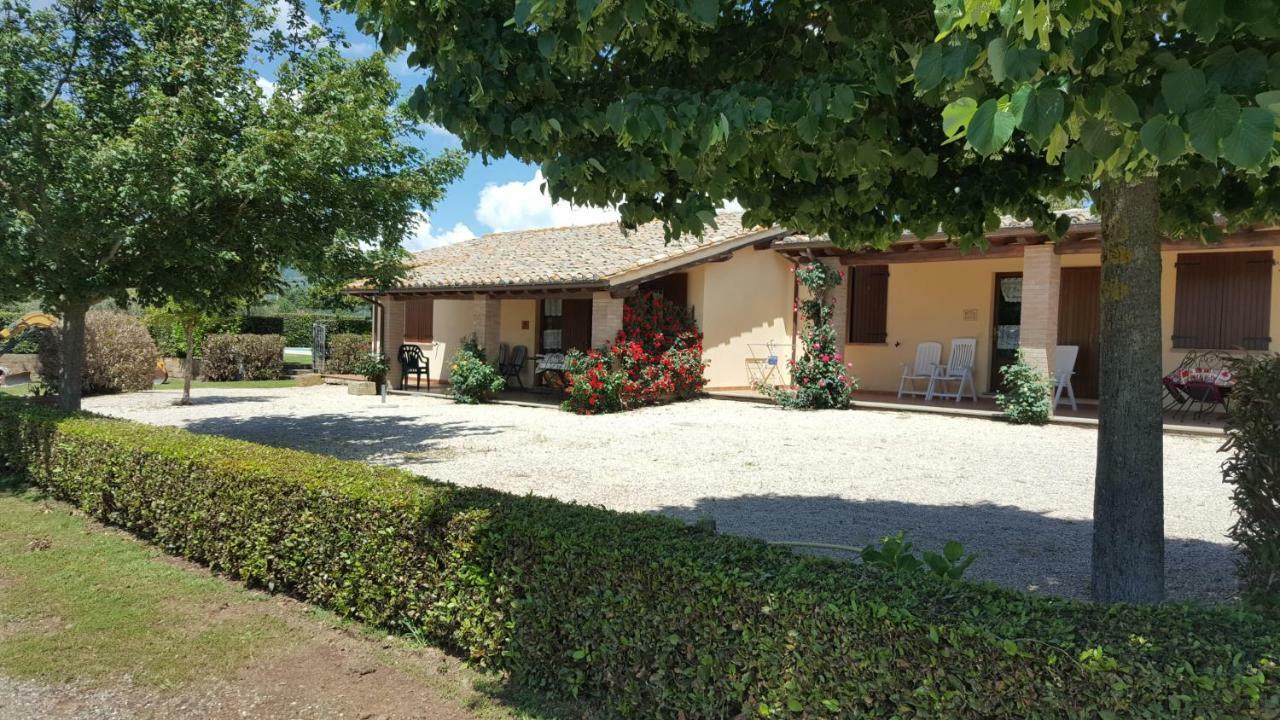 Agriturismo Casale Del Contadino Больсена Екстер'єр фото